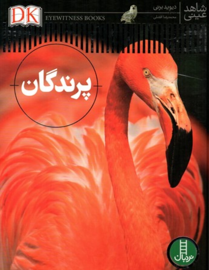 تصویر  چهره ها در شلوغی (رقعی-شمیز)